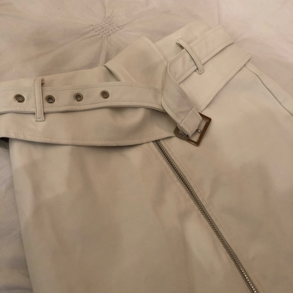 Tiger Mist Leather Mini Skirt - Picture 7 of 8